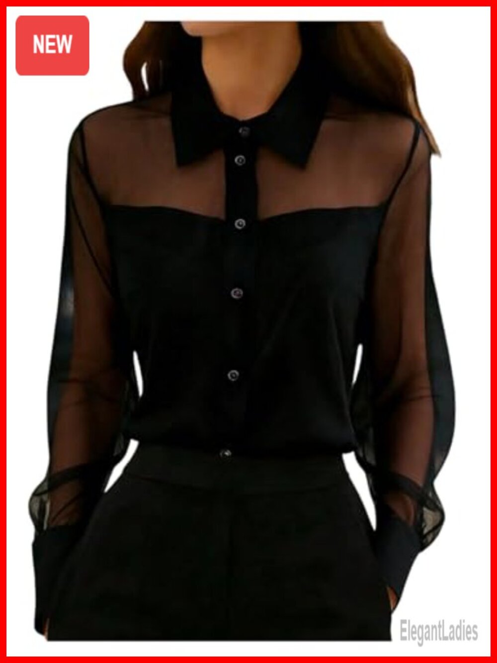 Sheer Mesh Collared Blouse Long Sleeve Button Front Office Top